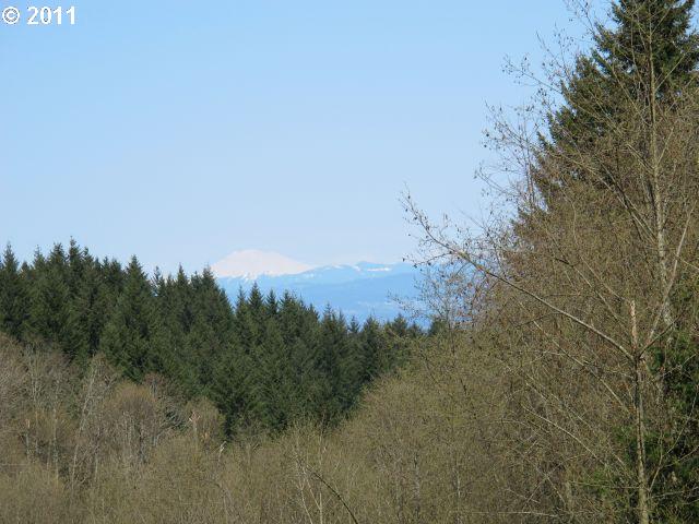 0 Nw Wind Ridge, Portland, OR 97229