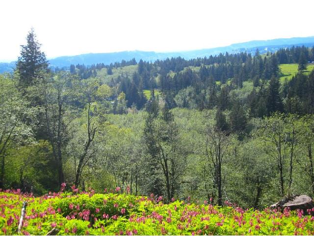 304 Hillsberry, Washougal